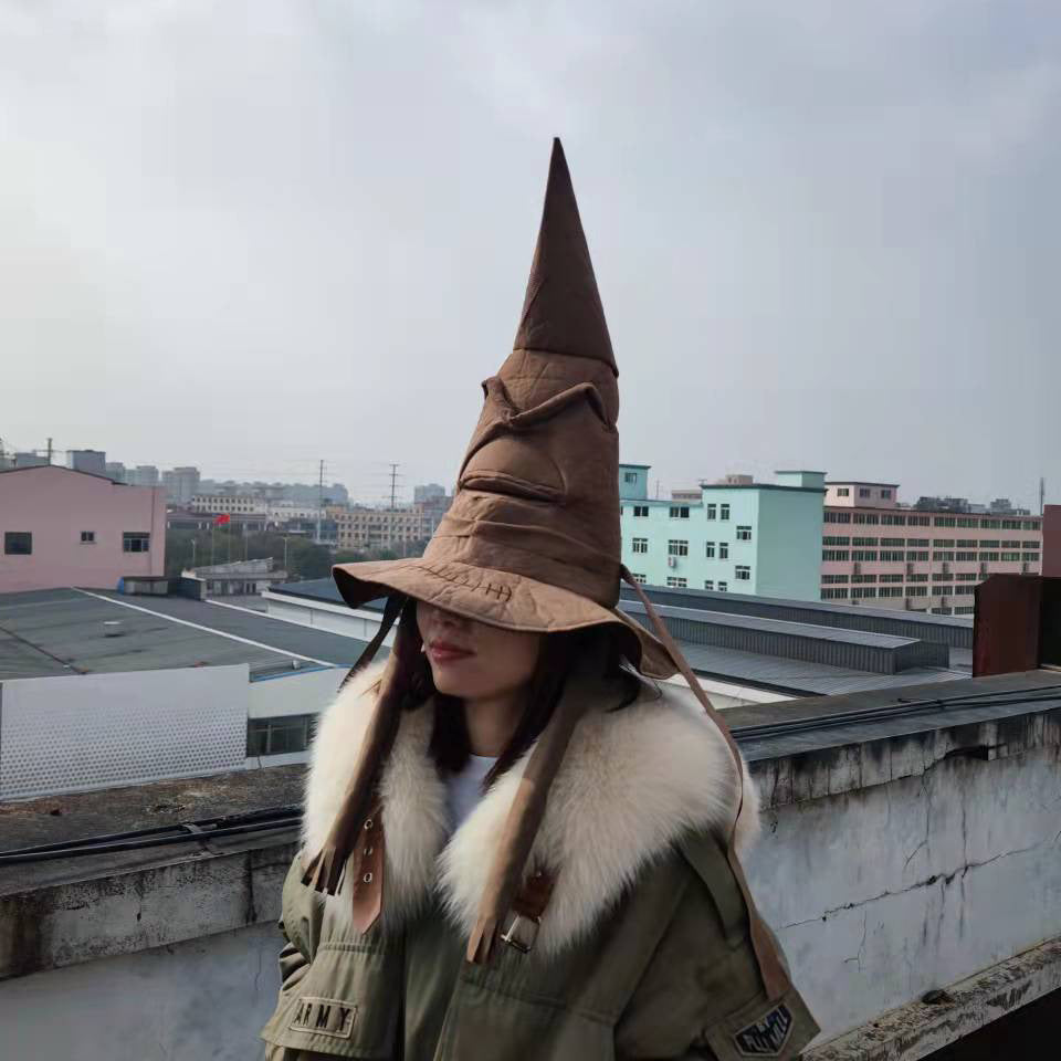 Halloween Harry Potter Sorting Hat