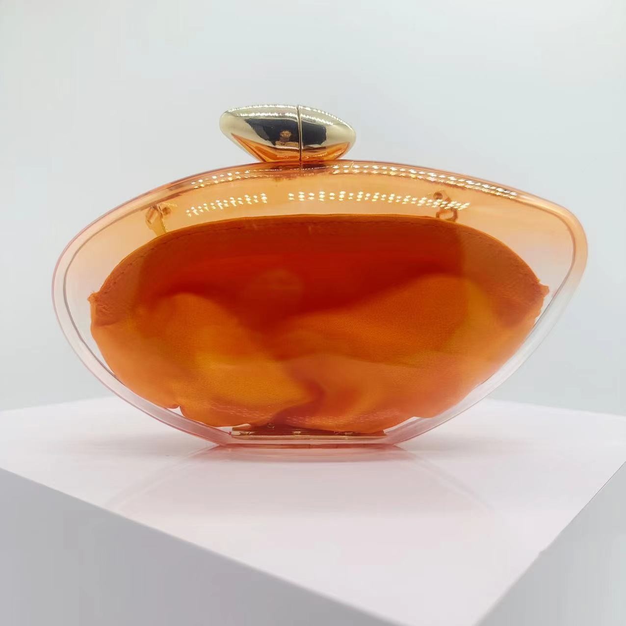 Elegant Acrylic Evening Bag