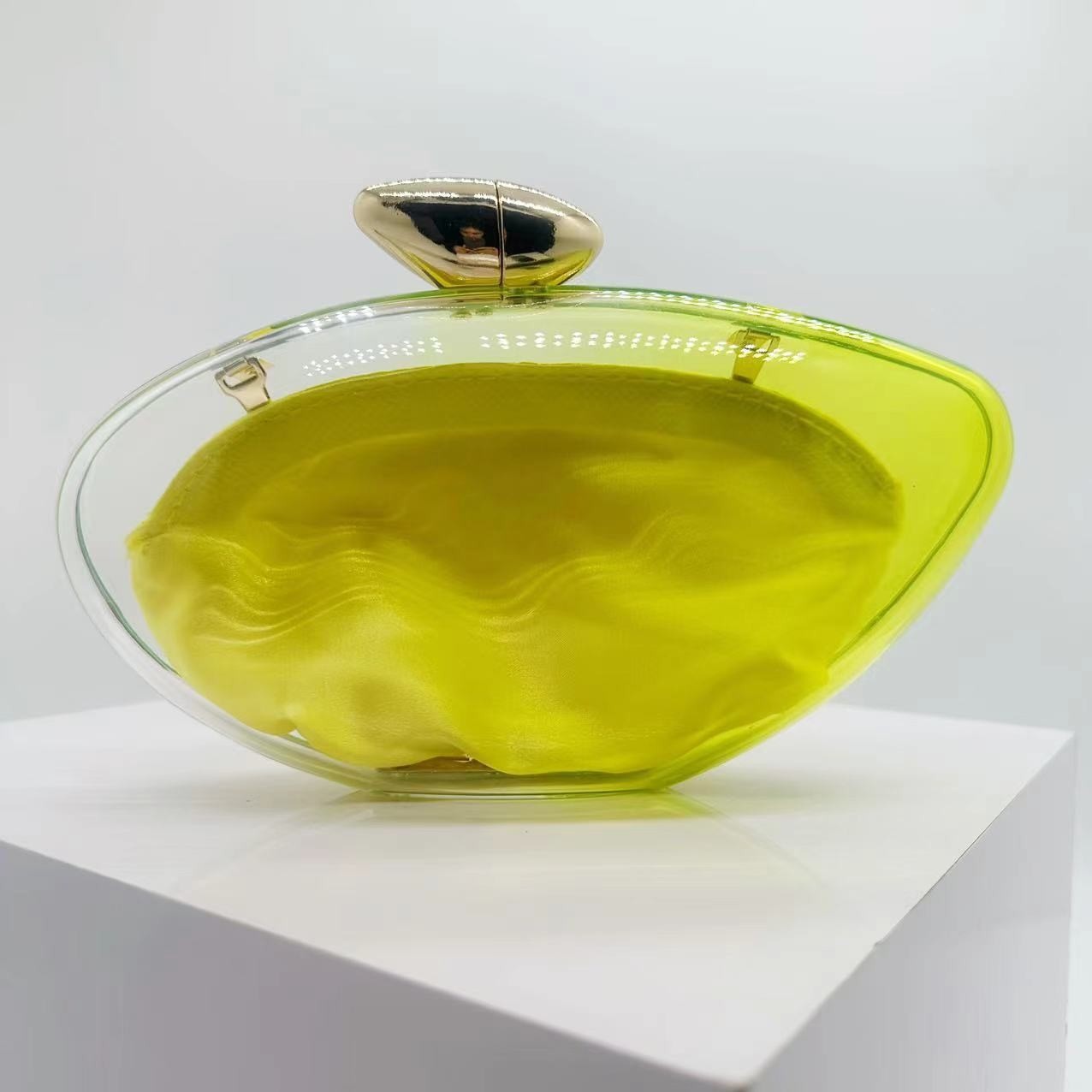 Elegant Acrylic Evening Bag