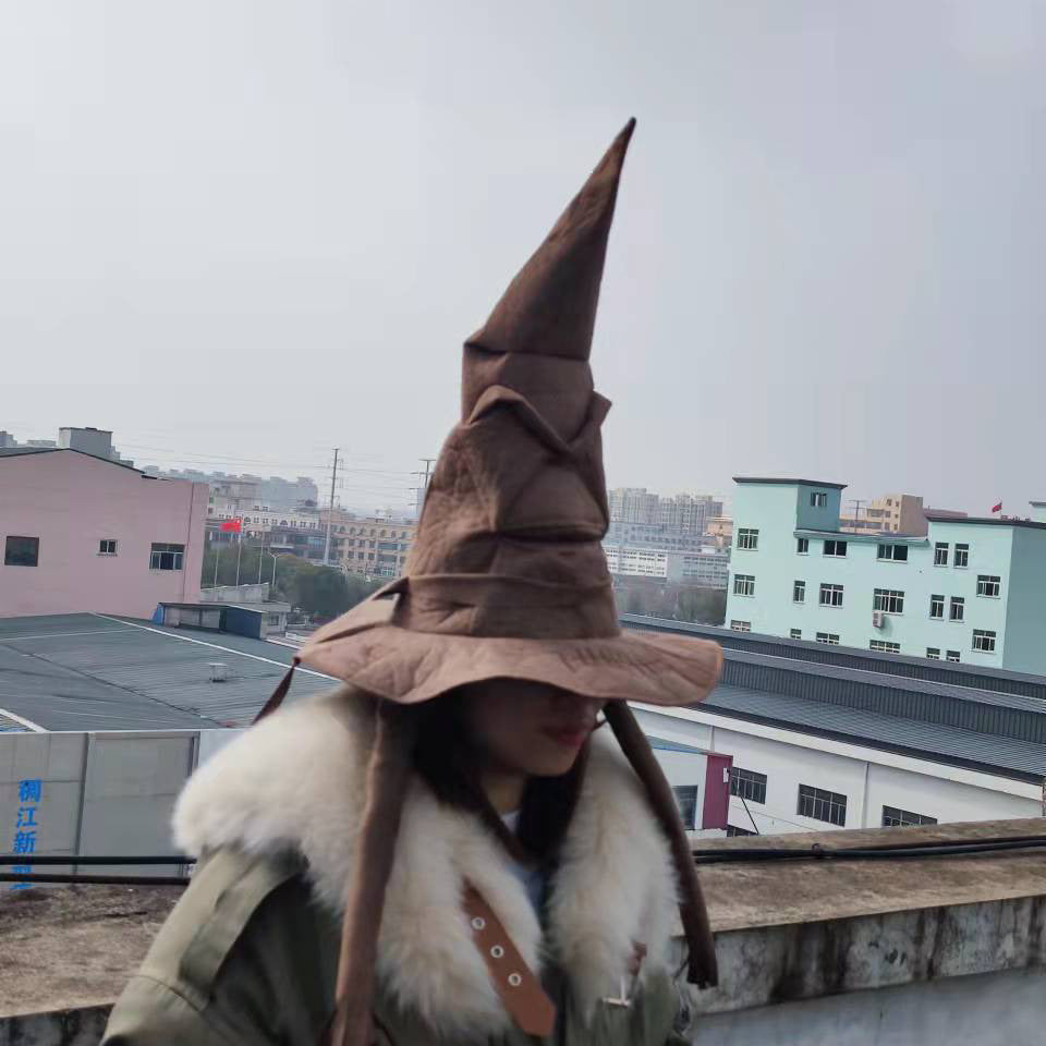 Halloween Harry Potter Sorting Hat