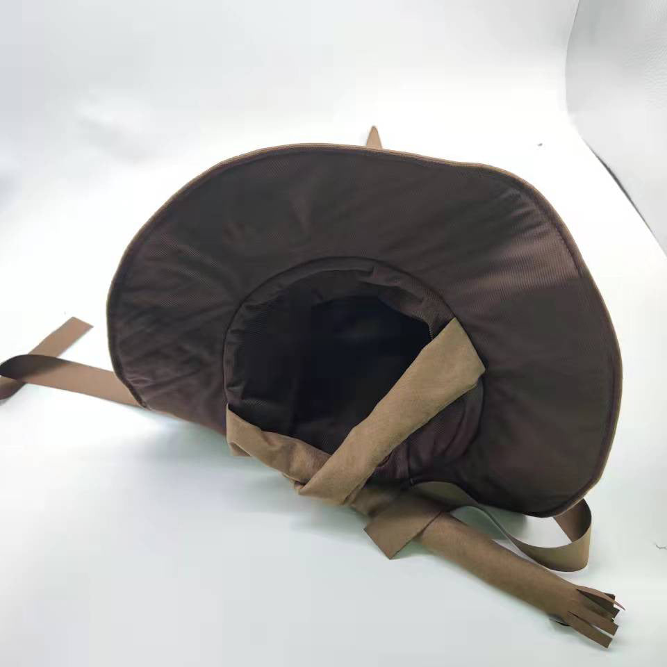 Halloween Harry Potter Sorting Hat